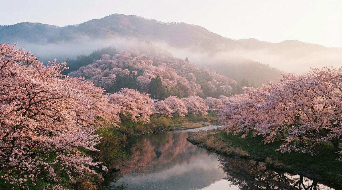 探花自然风光视频
